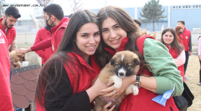 GENÇLERDEN BARINAĞA TAM NOT