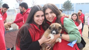 GENÇLERDEN BARINAĞA TAM NOT