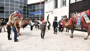 MENEMEN'DE DEVE GÖSTERİSİ HEYECANI