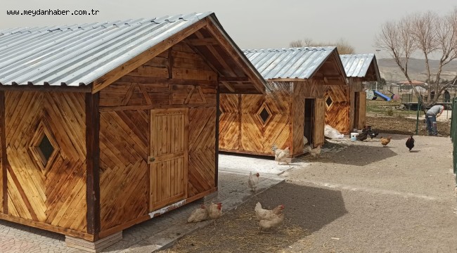 Ahşap Atıklar Tavuklara Yuva Oldu