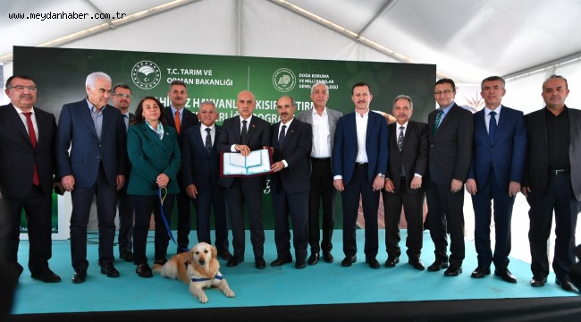 Bakan Kirişçi Mamak Sokak Hayvanları Rehabilitasyon Merkezi'nden Sokak Köpeği Sahiplendi
