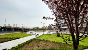 Bayraklı'nın yeşil oranı artıyor