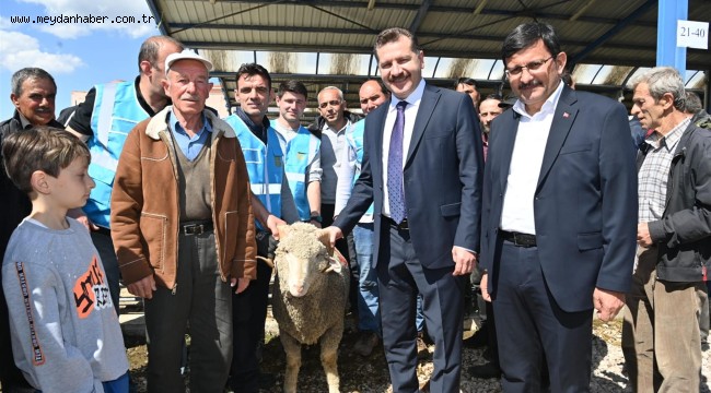 BBB'den yerli üreticiye damızlık koç desteği 