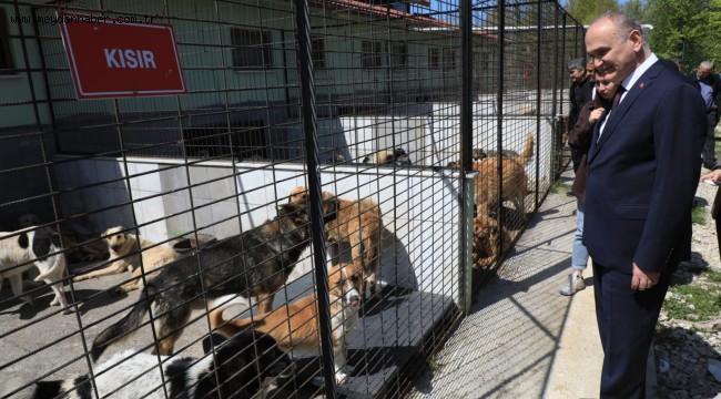 BELEDİYE BAŞKANLARI SOKAK HAYVANLARI İÇİN TOPLANDI