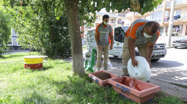 Buca Belediyesi 3 yılda 28 bin can dostuna hizmet verdi