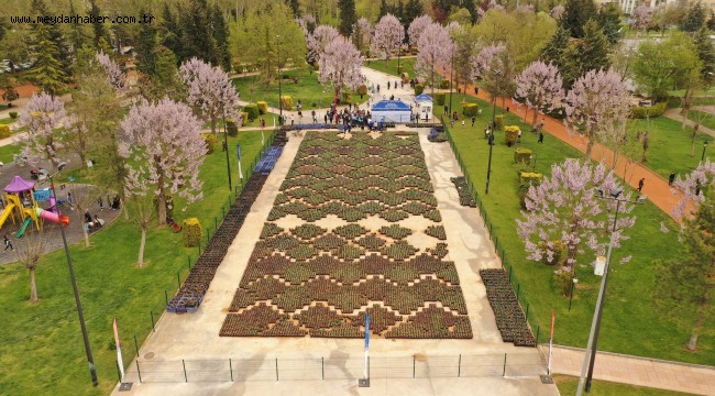 BÜYÜKŞEHİR BAHARIN MÜJDECİSİ LALELERİ VATANDAŞLARLA PAYLAŞIYOR