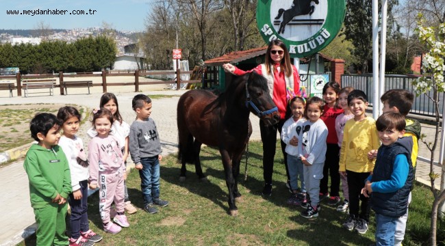Çocuklar at binmeyi çok sevdi
