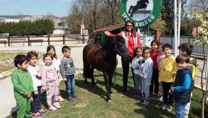 Çocuklar at binmeyi çok sevdi