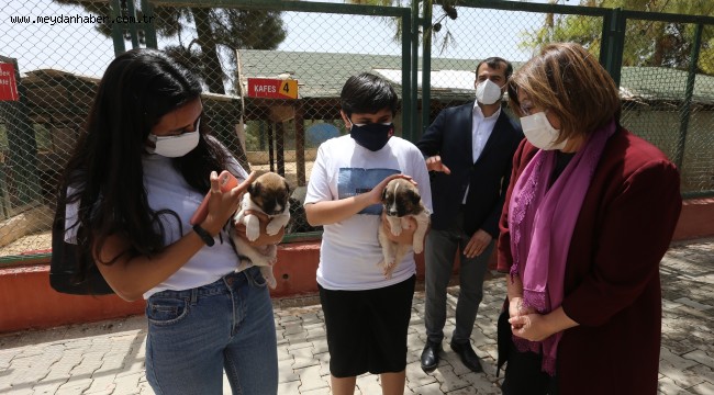 GAZİANTEP BÜYÜKŞEHİR BELEDİYESİ YILIN İLK 4 AYINDA 150 HAYVANA YENİ YUVA BULDU  