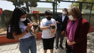 GAZİANTEP BÜYÜKŞEHİR BELEDİYESİ YILIN İLK 4 AYINDA 150 HAYVANA YENİ YUVA BULDU  