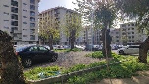 HALKLA YÖNETİME ÖRNEK MODEL