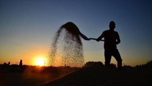 Irak'tan tarım ürünlerinde ithalat kararı