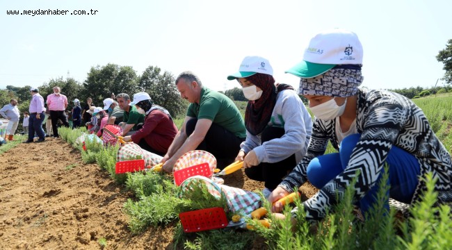 Kooperatif ve birliklere yüzde 75 hibe desteği