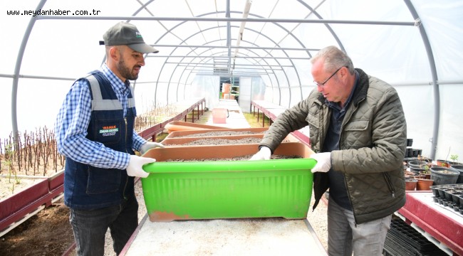 Mamak Belediyesi 100'den Fazla Ata Tohumunu Toprakla Buluşturdu