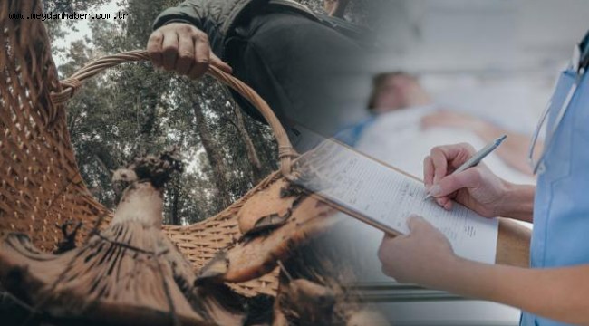 Mantar sezonuna dikkat