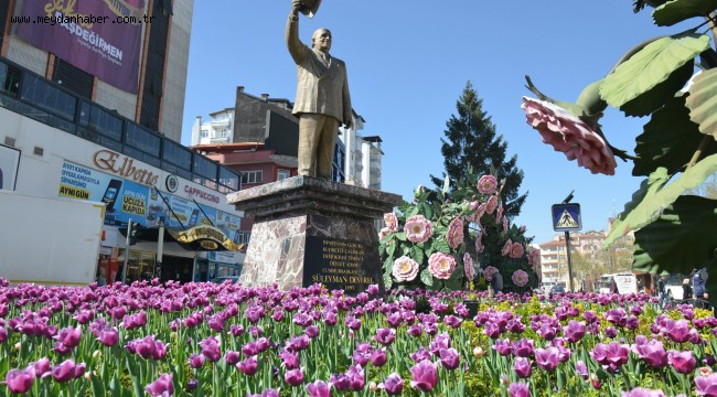 Rengarenk laleler şehri donatıyor