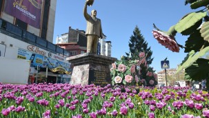 Rengarenk laleler şehri donatıyor