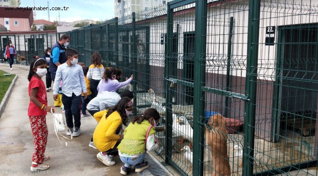 SİNCAN BELEDİYESİ HAYVAN BARINAĞINA SOKAK HAYVANLARI GÜNÜ'NDE YOĞUN İLGİ