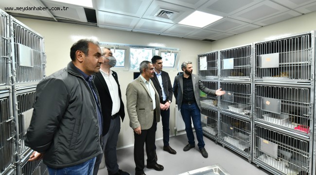 SİNCAN KEDİ TEDAVİ ÜNİTESİ VE REHABİLİTASYON MERKEZİ GÖRÜCÜYE ÇIKTI