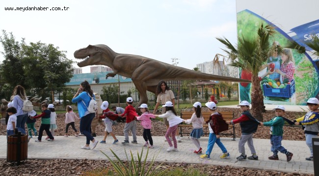 TÜM EVREN BİR YARIM KÜREDE