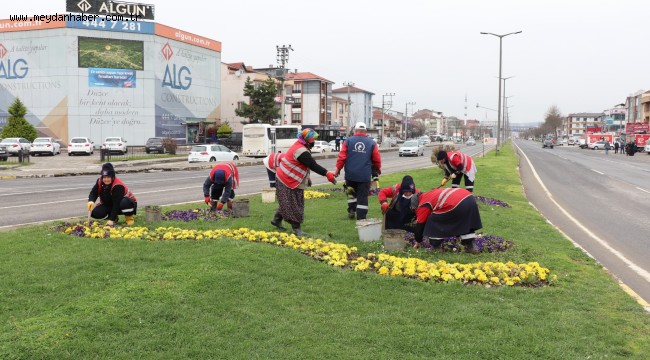 YABANİ OT TEMİZLİĞİ BAŞLADI