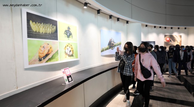 Yenimahalleli çocuklar uğur böceği ile tanıştı