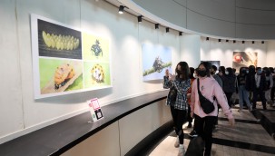 Yenimahalleli çocuklar uğur böceği ile tanıştı