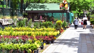 ANFA'DAN ÖZEL MÜLKLERE PEYZAJ HİZMETİ