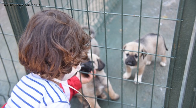 BARINAĞIMIZDAKİ CAN DOSTLARIMIZI ZİYARET EDEBİLİRSİNİZ