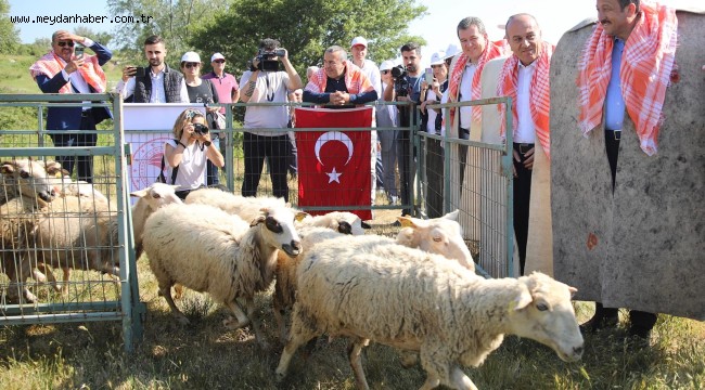 Bergama'da hayvan otlatma sezonu açılışına muhteşem tören