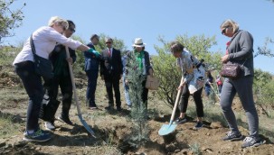 BÜYÜKELÇİ EŞLERİ BADEMLİDERE'YE FİDAN DİKTİ 