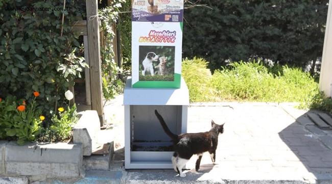Can Dostlarımızın Beslenmesi İçin Mesafeleri Kısalttık