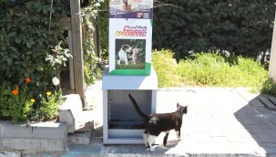 Can Dostlarımızın Beslenmesi İçin Mesafeleri Kısalttık