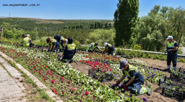 ÇİÇEK GİBİ BİR BAŞKENT