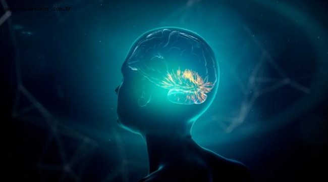 İnsan beynine çip takma denemeleri başladı