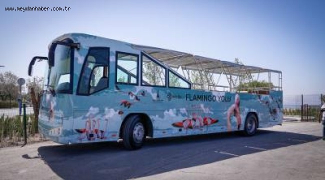 Körfez'in en renkli teknesi ve otobüsü hazır
