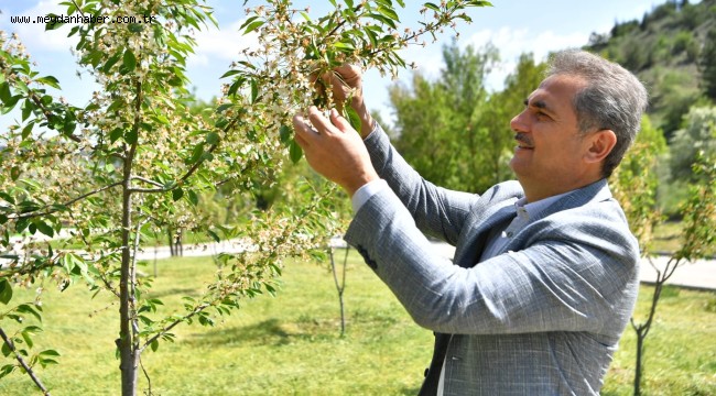 Mamak Yeşiliyle Yaza "Merhaba" Diyor