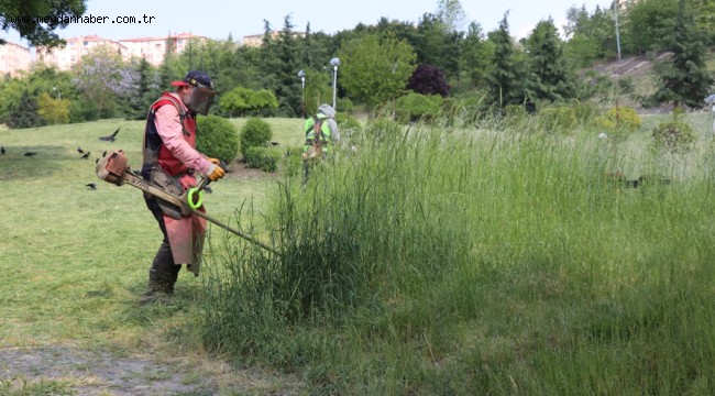 PARK BAHÇELER DE YOĞUN ÇALIŞMA
