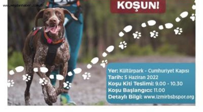 Patili dostlarla rekabetsiz koşu