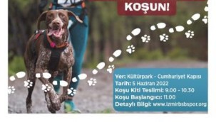 Patili dostlarla rekabetsiz koşu