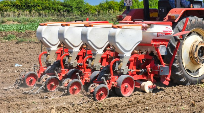 TARSUS BELEDİYESİ'NİN YERLİ TOHUM ATAĞI DEVAM EDİYOR