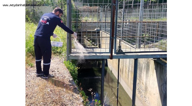 ÜMRANİYE'DE SİVRİSİNEKLERE GEÇİT YOK