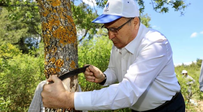 YUNUSEMRE'DE 2022 YILI AŞILAMA ÇALIŞMALARI BAŞLADI