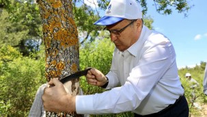 YUNUSEMRE'DE 2022 YILI AŞILAMA ÇALIŞMALARI BAŞLADI