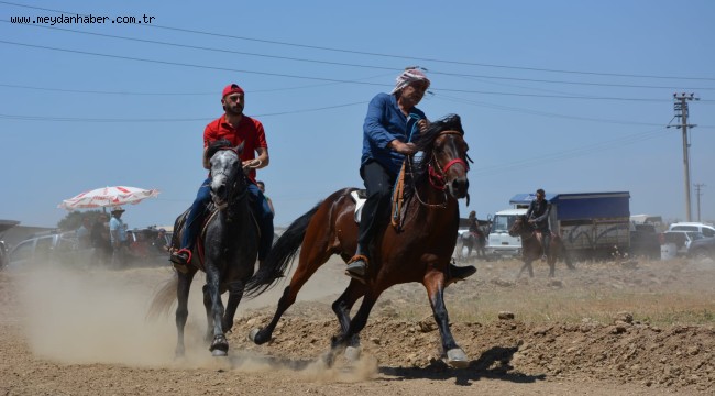 Yüzlerce Rahvan At Torbalı'da buluştu