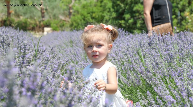 3 TEMMUZ'DA SEFERİHİASAR'DA BULUŞUYORUZ