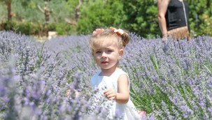 3 TEMMUZ'DA SEFERİHİASAR'DA BULUŞUYORUZ