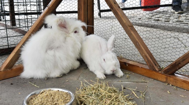 ABB "BAŞKENT'İN BEŞ BEYAZI"NI ÖĞRENCİLERLE BULUŞTURUYOR