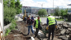 BAŞKAN DEMİR İSTEDİ ARDAHAN ŞANTİYEYE DÖNDÜ
