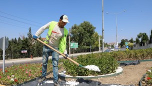 Buca sokaklarında yaz çiçekleri zamanı